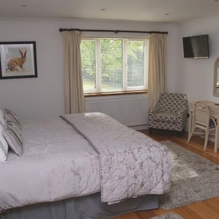 Cherry Tree Guesthouse Bradford-On-Avon Стая снимка